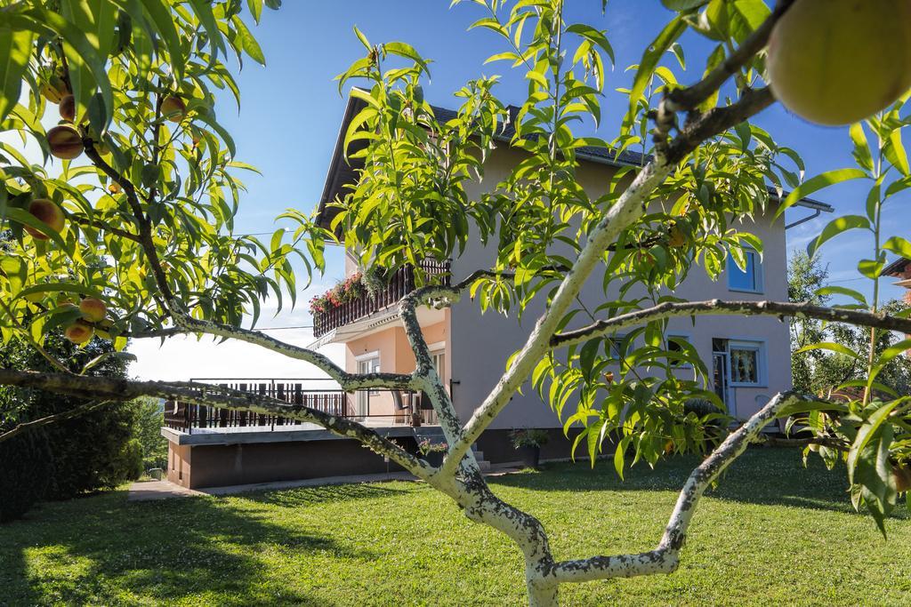 Apartments Nika Слунь Екстер'єр фото